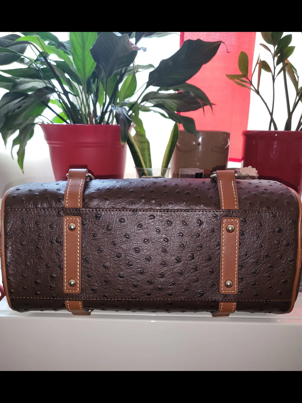 Dooney & Bourke Ostrich Satchel - NWT